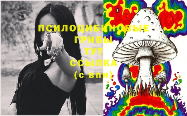 спиды Абдулино